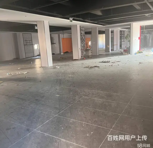 火炬园马垅4层3600平可分割 - 图片 2