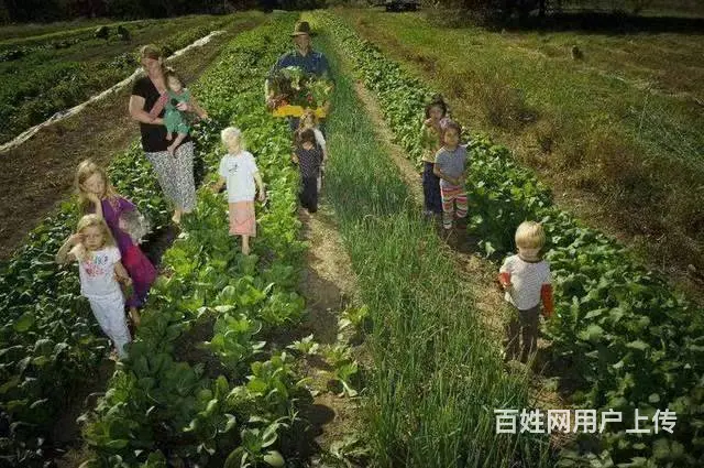 随州出国劳务，年薪40万，包吃住，有保险 - 图片 2