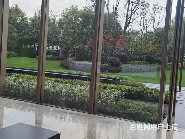 高端品质，独幢花园办公楼，层高7.2米,带露台花园 - 图片 8