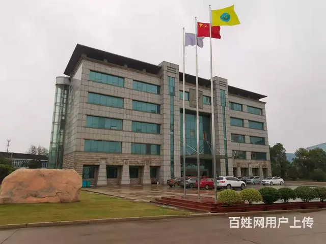 标准厂房出租9000平米面议 - 图片 2