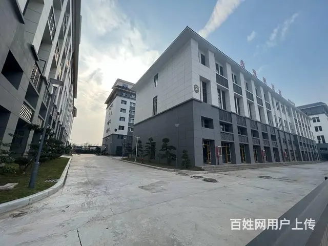 自有全新园区招租 单层独栋 多面积段 业态不限 欢迎咨询看房 - 图片 5