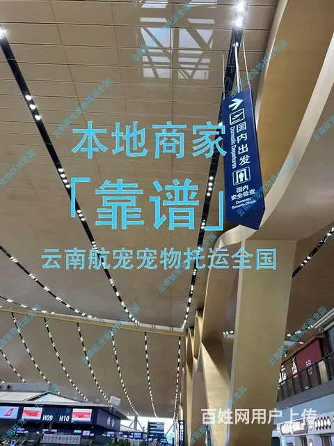 本地商家丽江古城永胜县华坪县宠物托运全国服务 - 图片 1