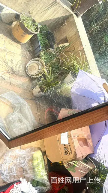 万晟阳光城精装修洋房三室一卫带地暖打包卖临近实验4小梁才 - 图片 8