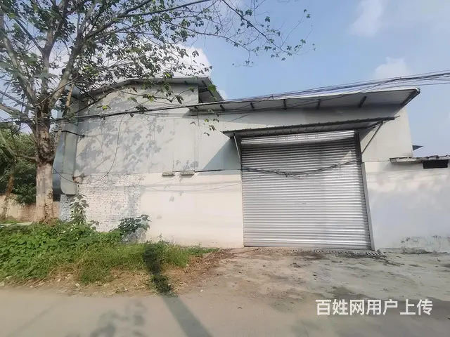 天元镇天鹅路400平厂库房出租 - 图片 1