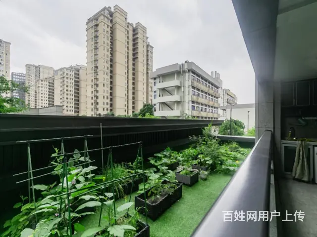 金麟府带露台大三房，无增值税近地铁，运河边区政府旁，看房随时 - 图片 12