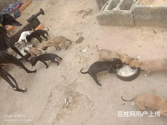 懂的来 - 图片 3