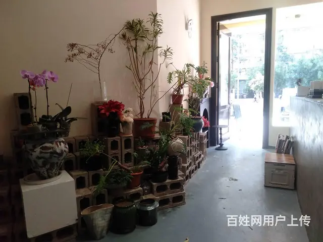 （51旺铺推荐）勋亭路融创壹号300平三层临街旺铺转让 - 图片 3