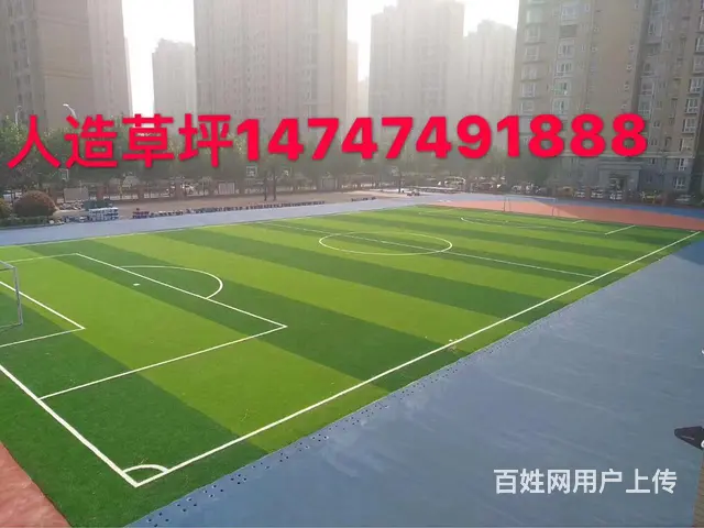 活动室运动 - 图片 5
