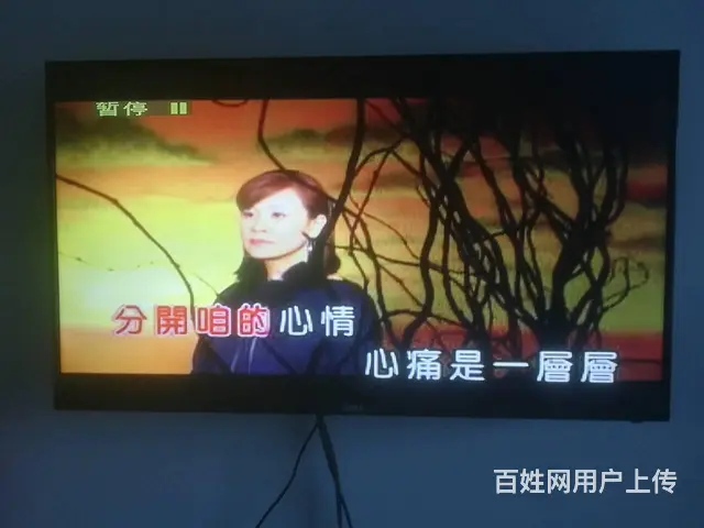 裕兴品牌卡拉OK混响DVD - 图片 5