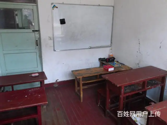 补课班急聘小学英语教师一名 - 图片 1