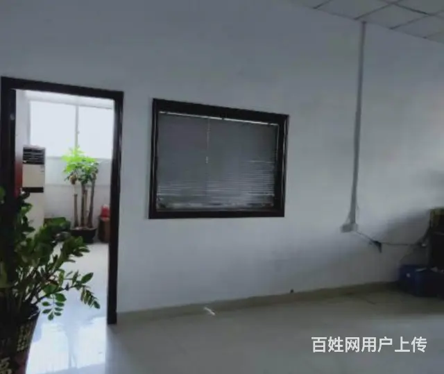 霞光大厦180平带前台，可隔断办公室出租，价格美丽 - 图片 2