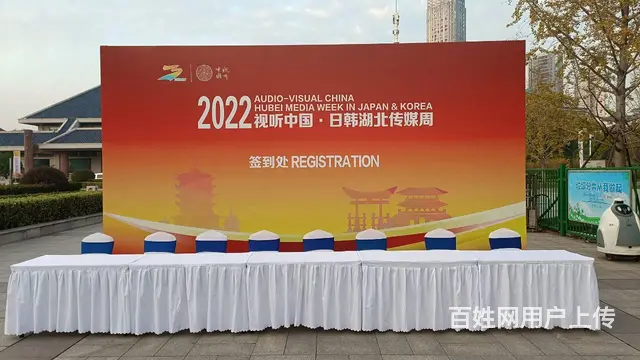 武 汉桌椅沙发出租 长条桌贵宾椅单人沙发租赁 - 图片 6