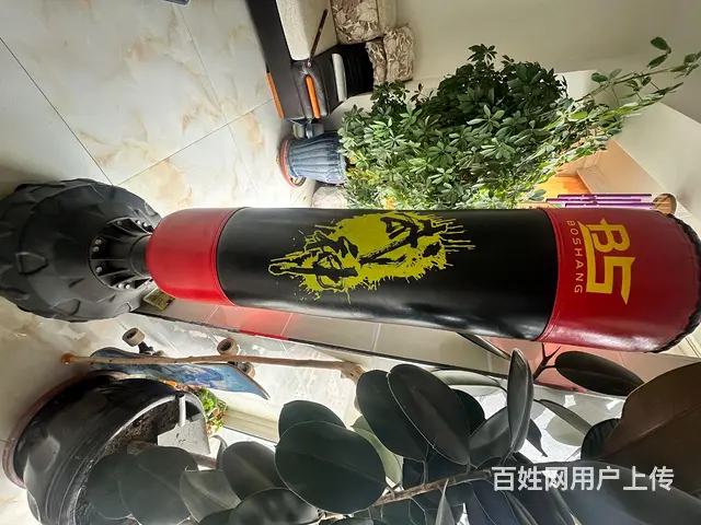 立式沙袋拳击 - 图片 2