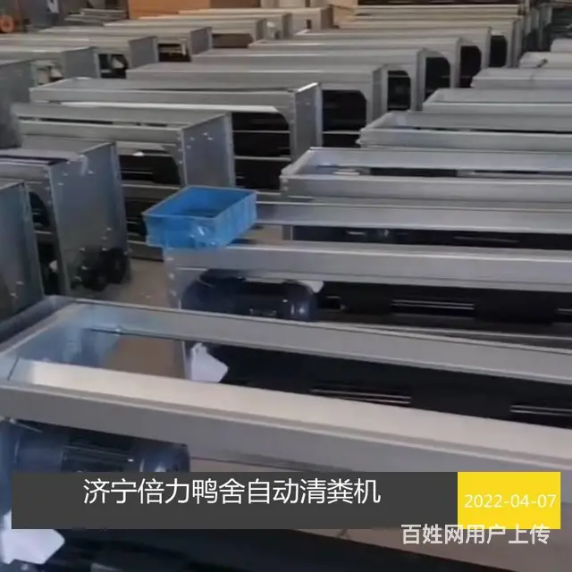 鸡粪输送带清粪机改造安装 - 图片