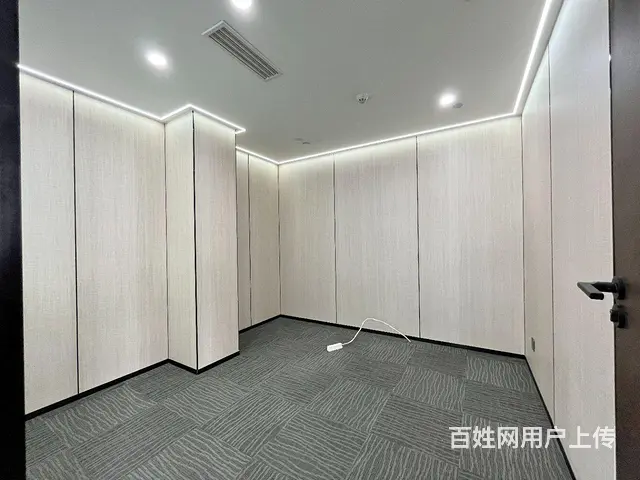天际项目东方希望天祥广场精装写字楼出租随时看房 - 图片 5