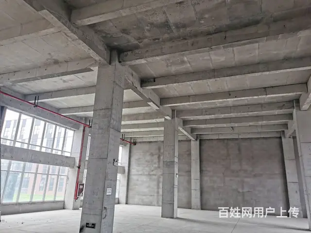 800-10000平独栋双拼框架标准厂房50年产权工业园园区 - 图片 1