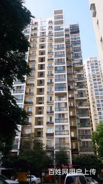 洪山周边超值好房便宜出租了！急急急！ - 图片 11