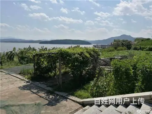 五虎岛对面松花湖山庄出售 - 图片 4