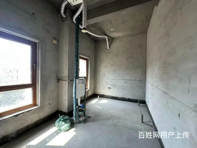 翠湖边户别墅 中间位 超大花园 双车库 室内电梯 没税 - 图片 3