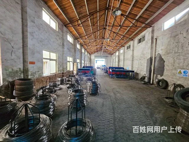 尚湖冶塘大河村单层非标准厂房530平方，无公摊面积，高度7米 - 图片 4