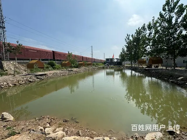 （徐州找店网）茅村独院鱼塘和土地出租 - 图片 4