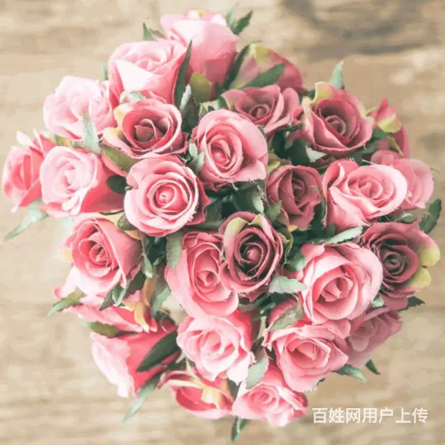 寻找单身女性，为友。 - 图片