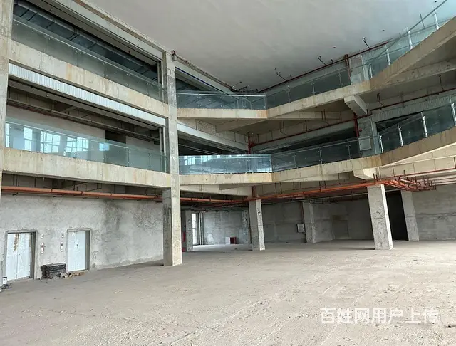 平沙工业区200亩厂房低价出售，每年收租 - 图片 3