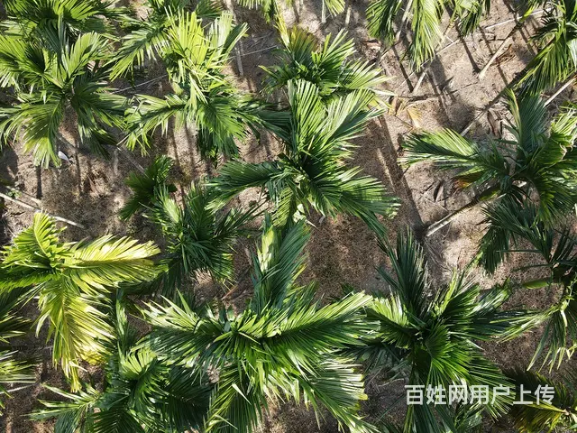 无人机服务与销售 - 图片 6