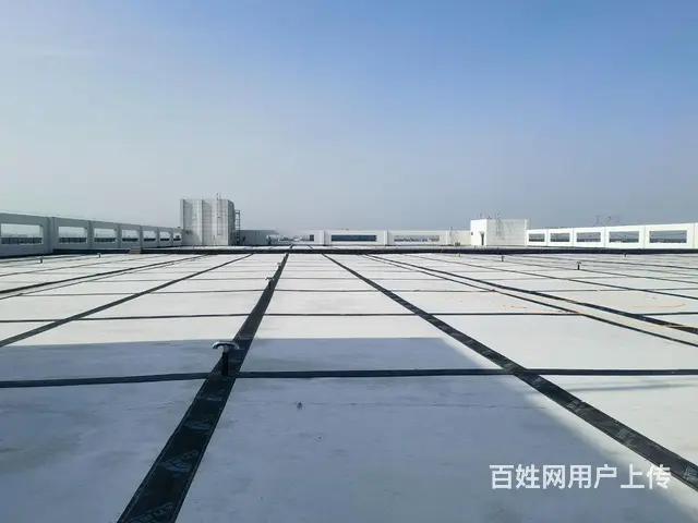 礼嘉新建一层厂房《真实有效》原子大 - 图片 4