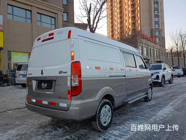 2020年金杯新海狮。全车原漆 - 图片 4