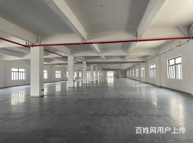 南屏2500~5500平高标准厂房业主直租，厂房形 - 图片 5