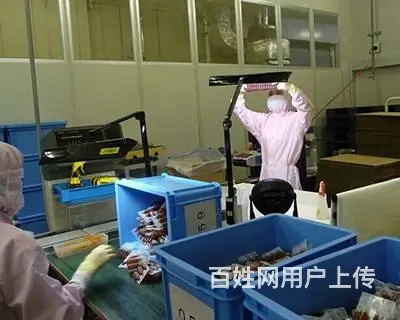 出国劳务—华人企业—高薪急招—正规保签 - 图片 4
