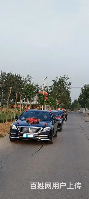 专业婚车租赁 - 图片 2