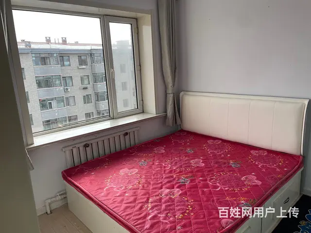 绿洲花园小区精装修出租 - 图片 3