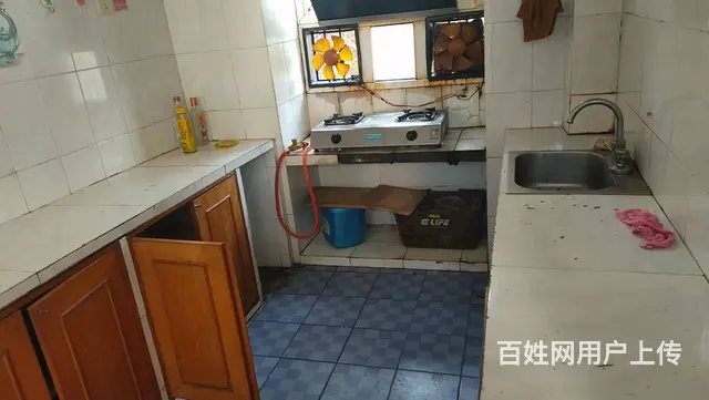 （个人）大托新开铺附近大马路边上厂房仓库出租编号9087 - 图片 6