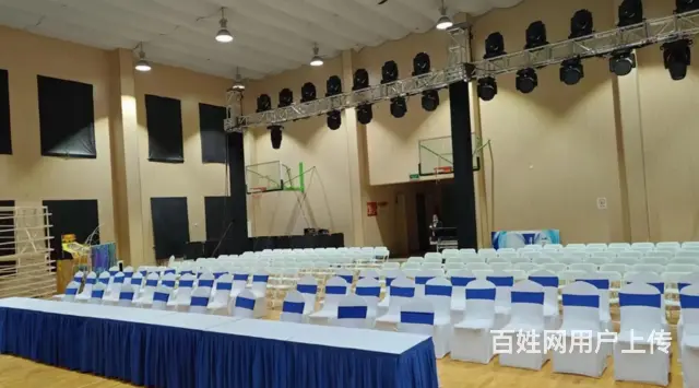 品质贵宾椅在线租，轻松坐出活动高级感 - 图片
