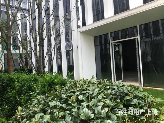 城北独栋带花园大露台滨江运翠轩3200方5000通燃气送车位 - 图片 5