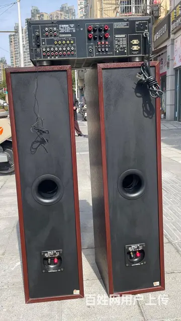 丹麦原装进口至尊发烧音箱，双6.5寸低音音质非常好 - 图片 8