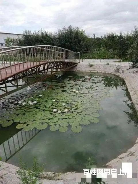 阿城舍利街厂房别墅出售 - 图片 5