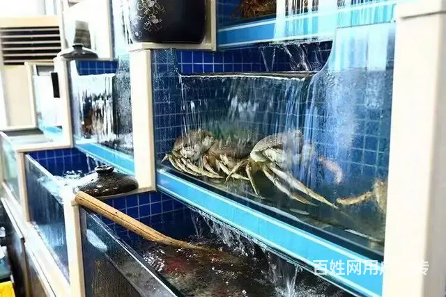 泰山路旺地台湾砂锅粥饭店出兑： - 图片 5