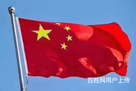 双血小马犬 - 图片