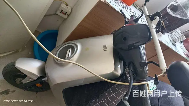 小牛电动车 - 图片 2