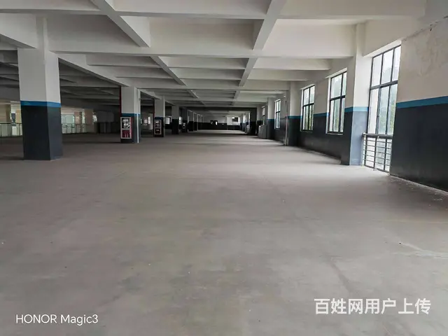 碧溪沿江开发区32000平方标准厂房出租，场地大，环境优美。 - 图片 1
