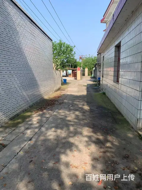 （老板本人）大托铺整栋住房办公楼厂房仓库房东低价出租6285 - 图片 11