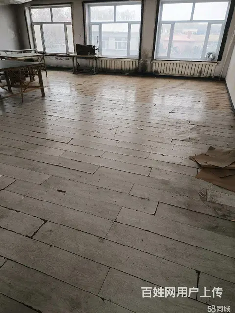 香坊区幸福镇厂房出租出售 - 图片 4