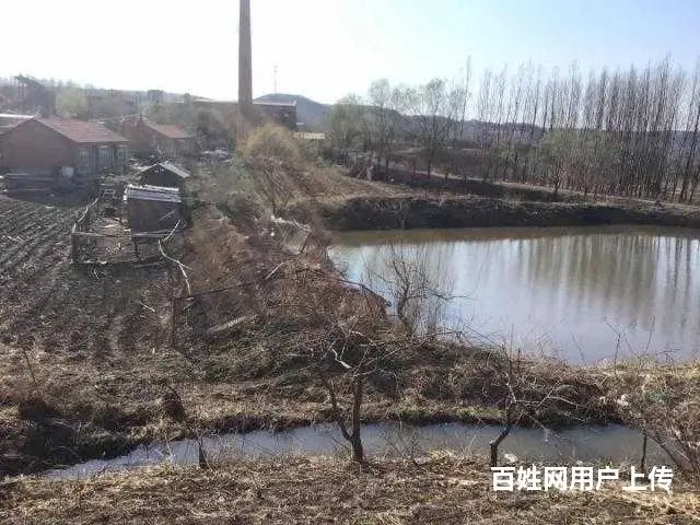 胜利林场鱼塘山庄出售 - 图片 5