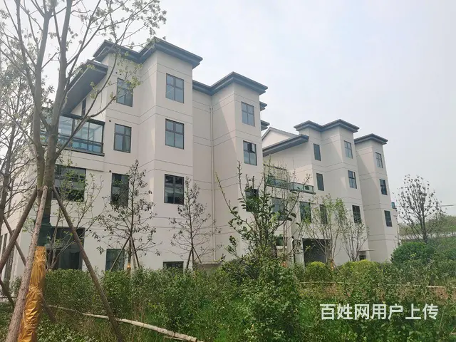 岳麓区大王山风景旅游区企业商墅买4层送2层 - 图片 4
