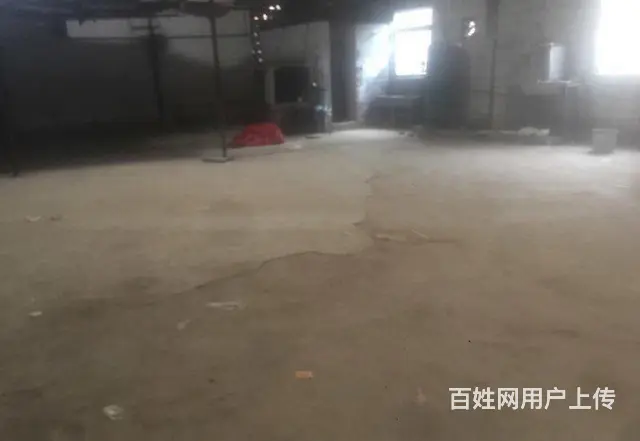 D9 I3I IO96 I559洪濑镇扬美村仓库出租 - 图片 3