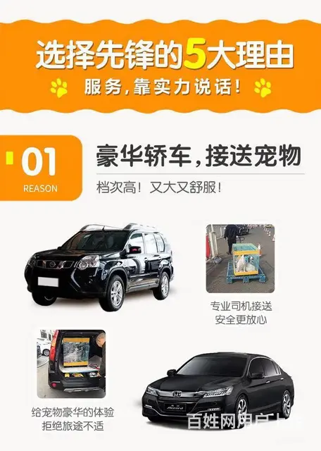 常州宠物托运公司，托运宠物，上门接宠 - 图片 5