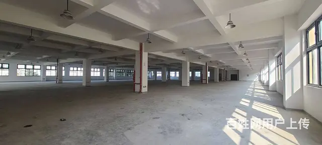 董浜工业园全新独栋独院厂房8400平，可分租，配套设施齐全 - 图片 5